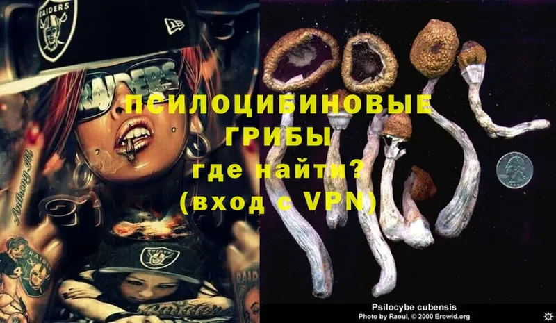 Псилоцибиновые грибы Magic Shrooms  Нефтекамск 